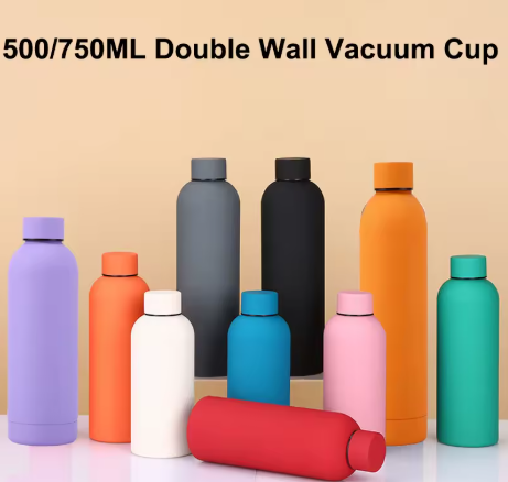 Insulated Gym Water Bottle