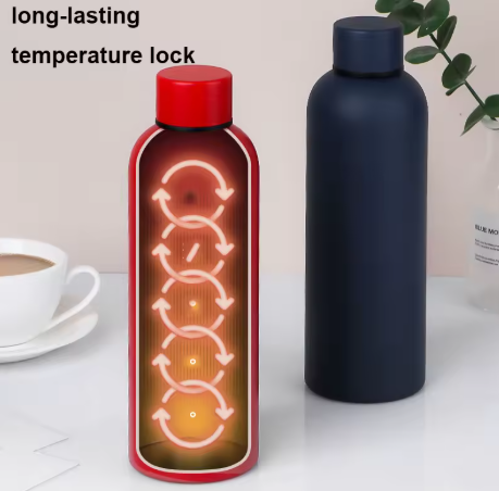 Insulated Gym Water Bottle